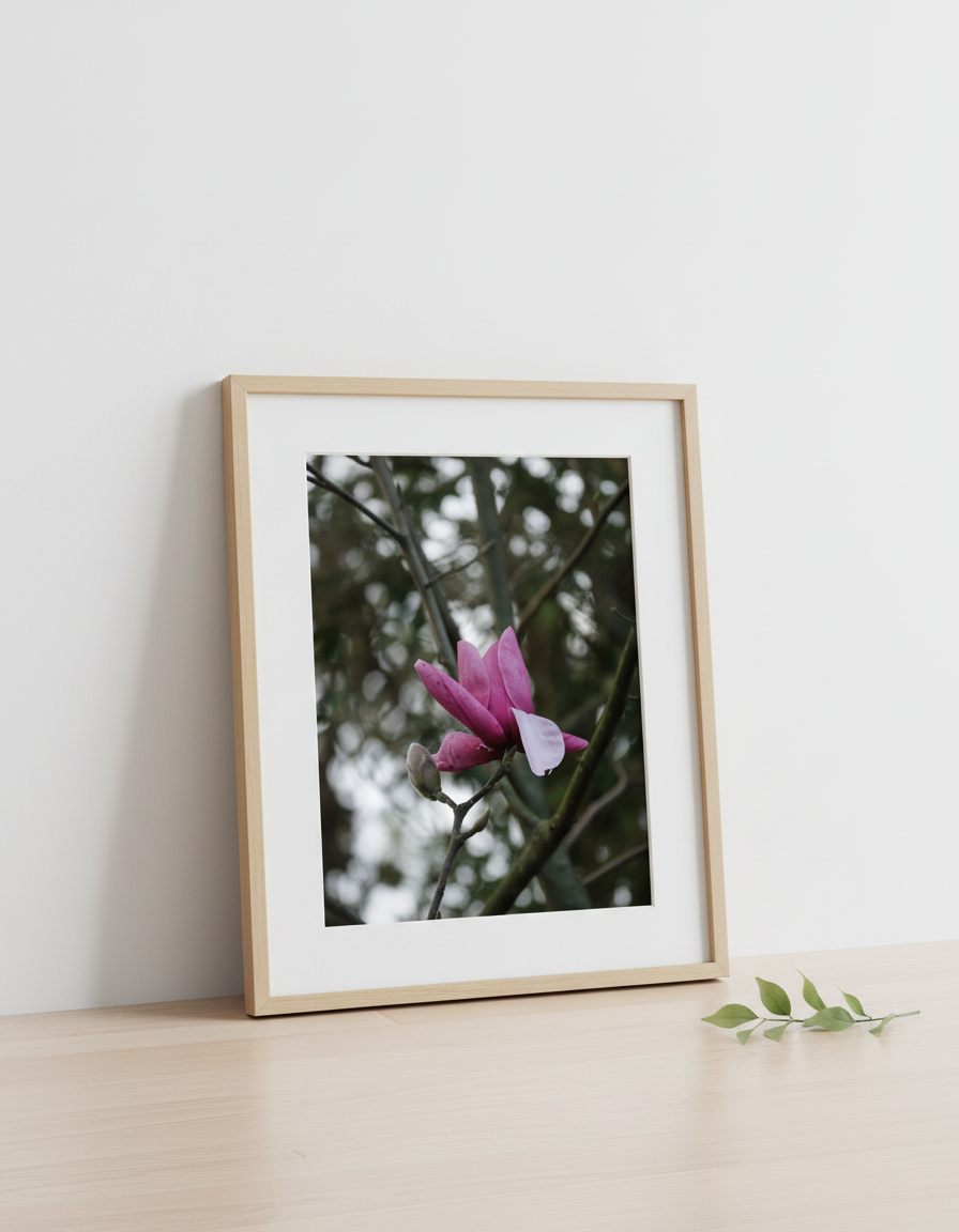 Photo Prints