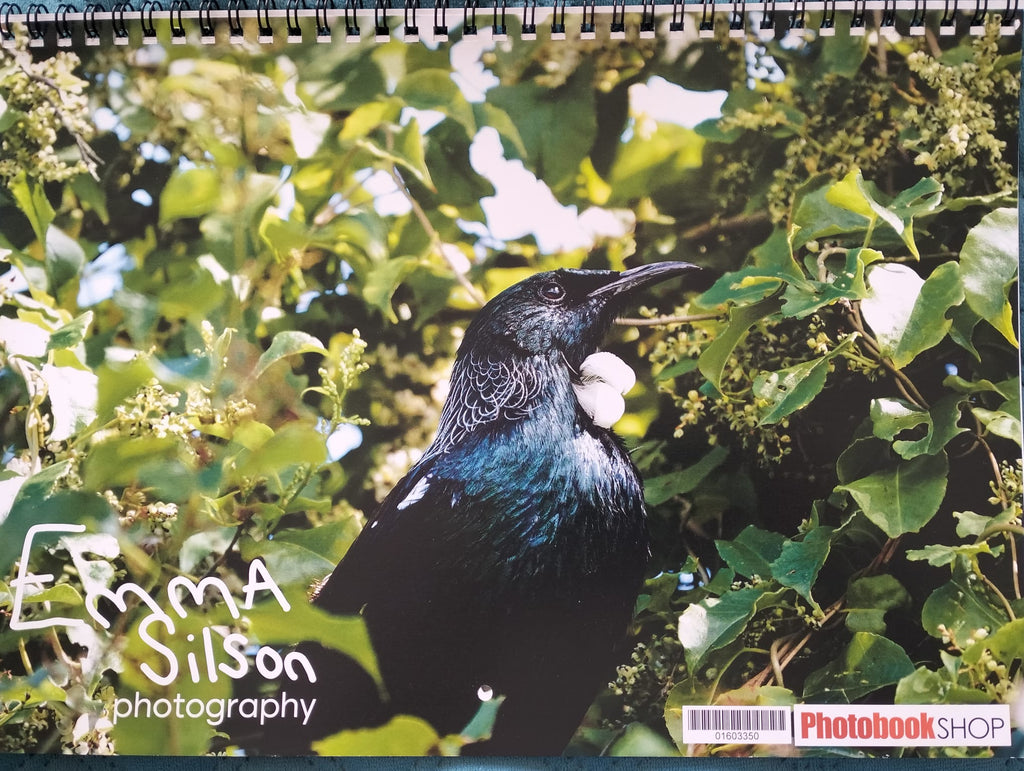 Photography Calendar