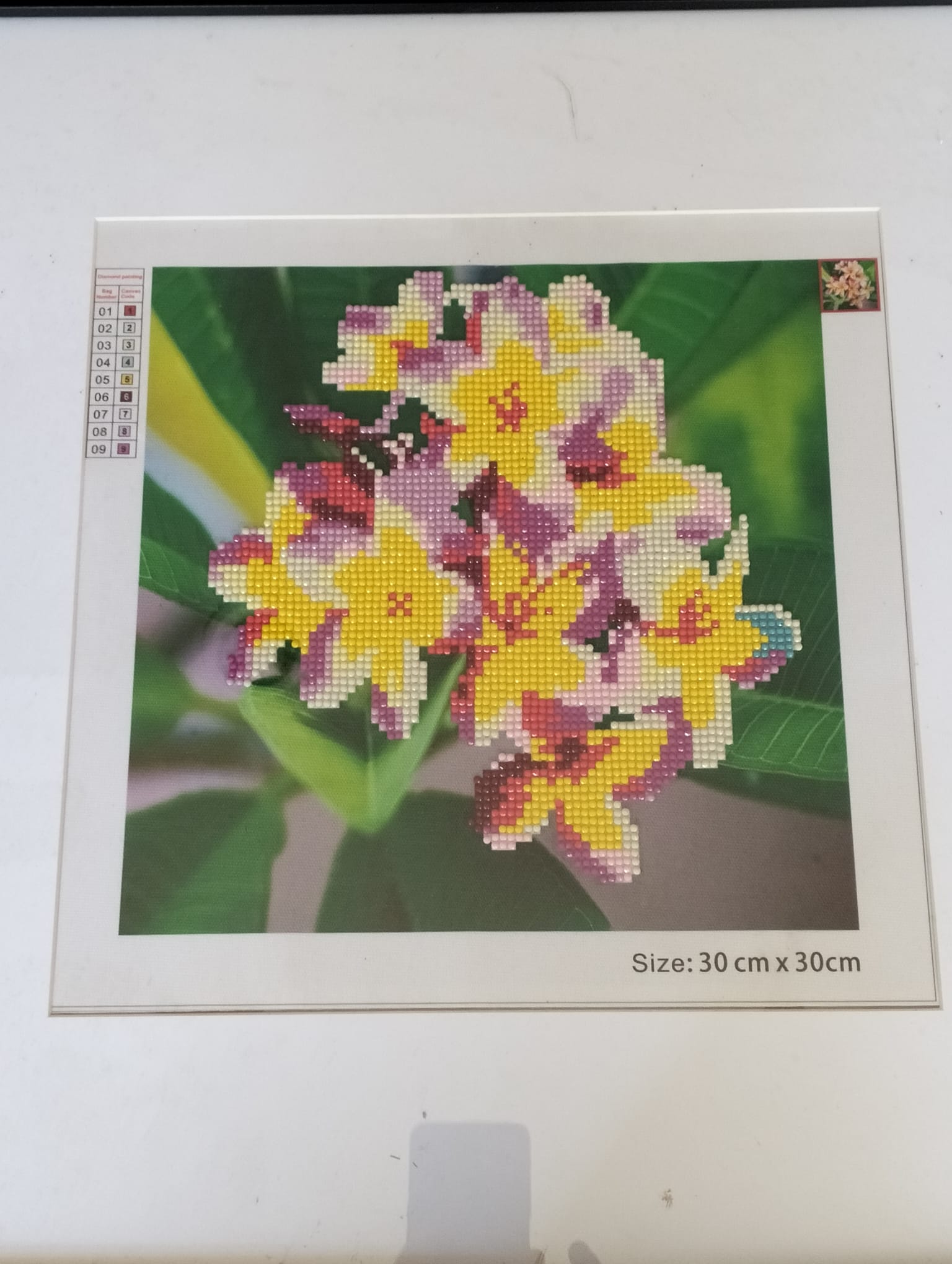 Diamond Art Canvas