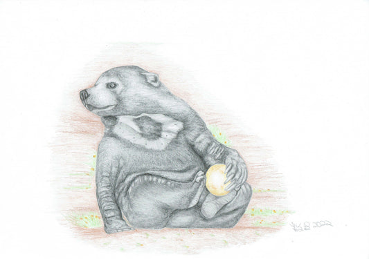 Sun Bear