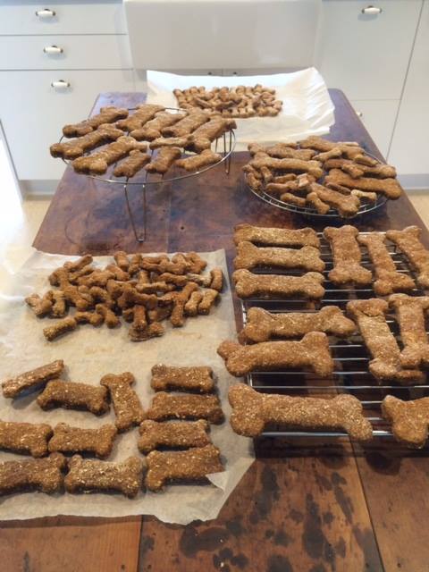 Oliver Doggy Treats