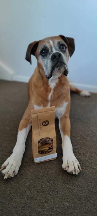 Oliver Doggy Treats