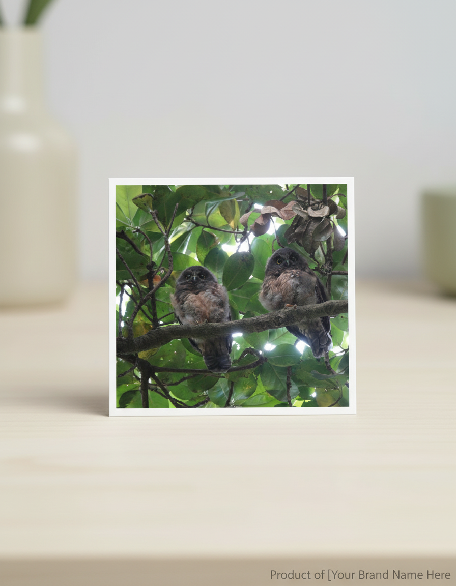 Photo Prints